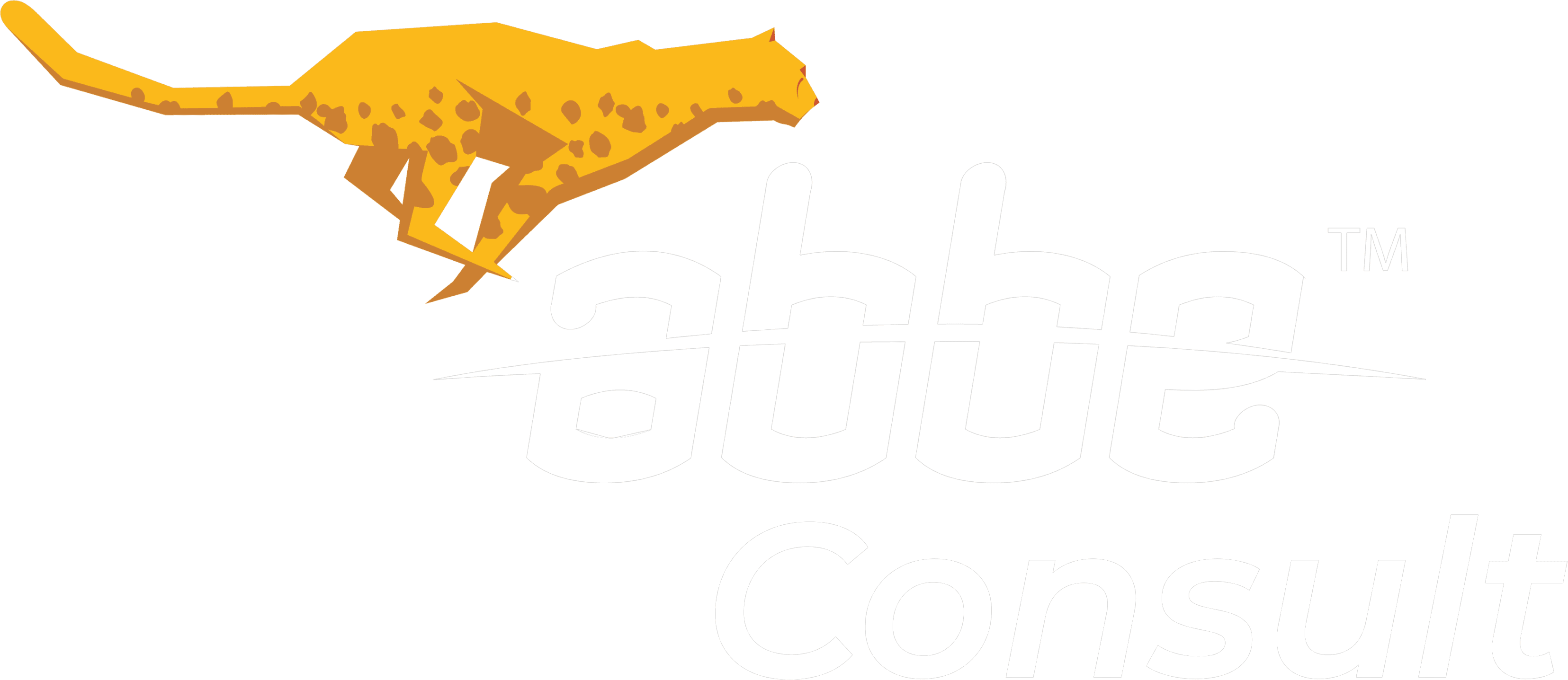 ABBE Consult